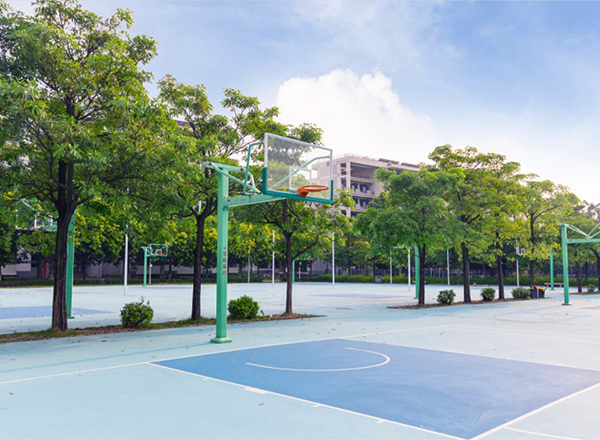 1629081895447541.jpg 1.jpg